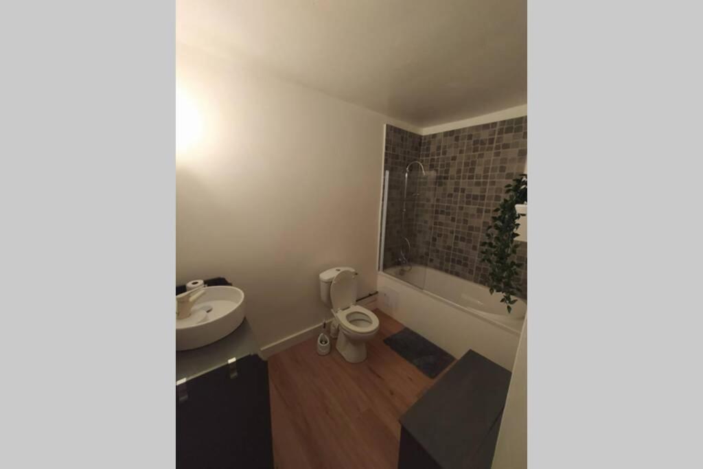 Appartement T2 Cosy Et Chaleureux - 40Mn De Rennes Plumaugat Dış mekan fotoğraf